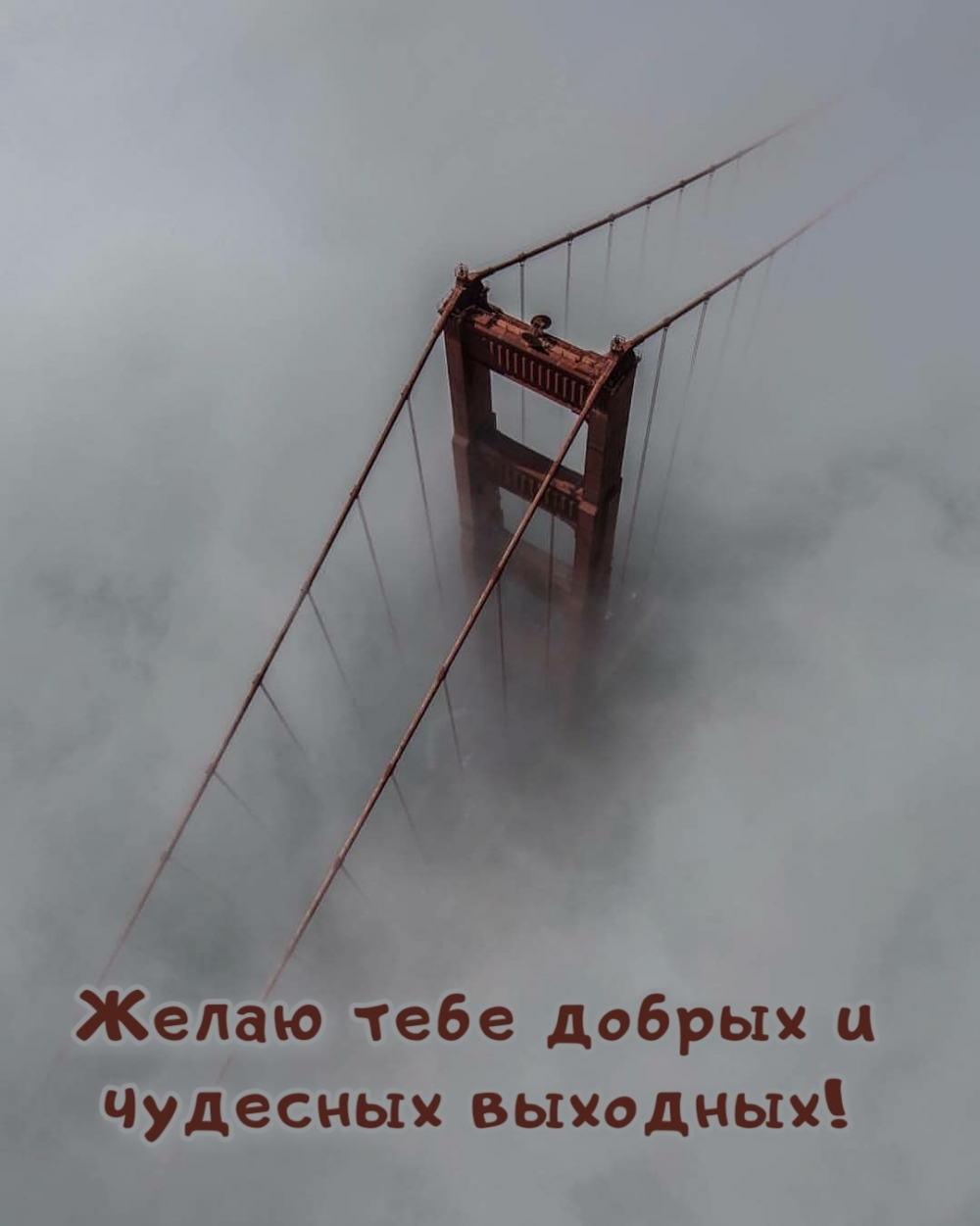 Желаю тебе добрых и чудесных выходных!