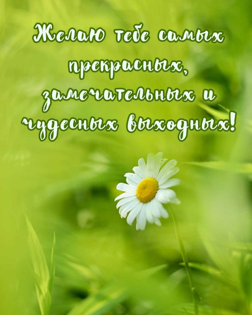 Замечательных и чудесных выходных!