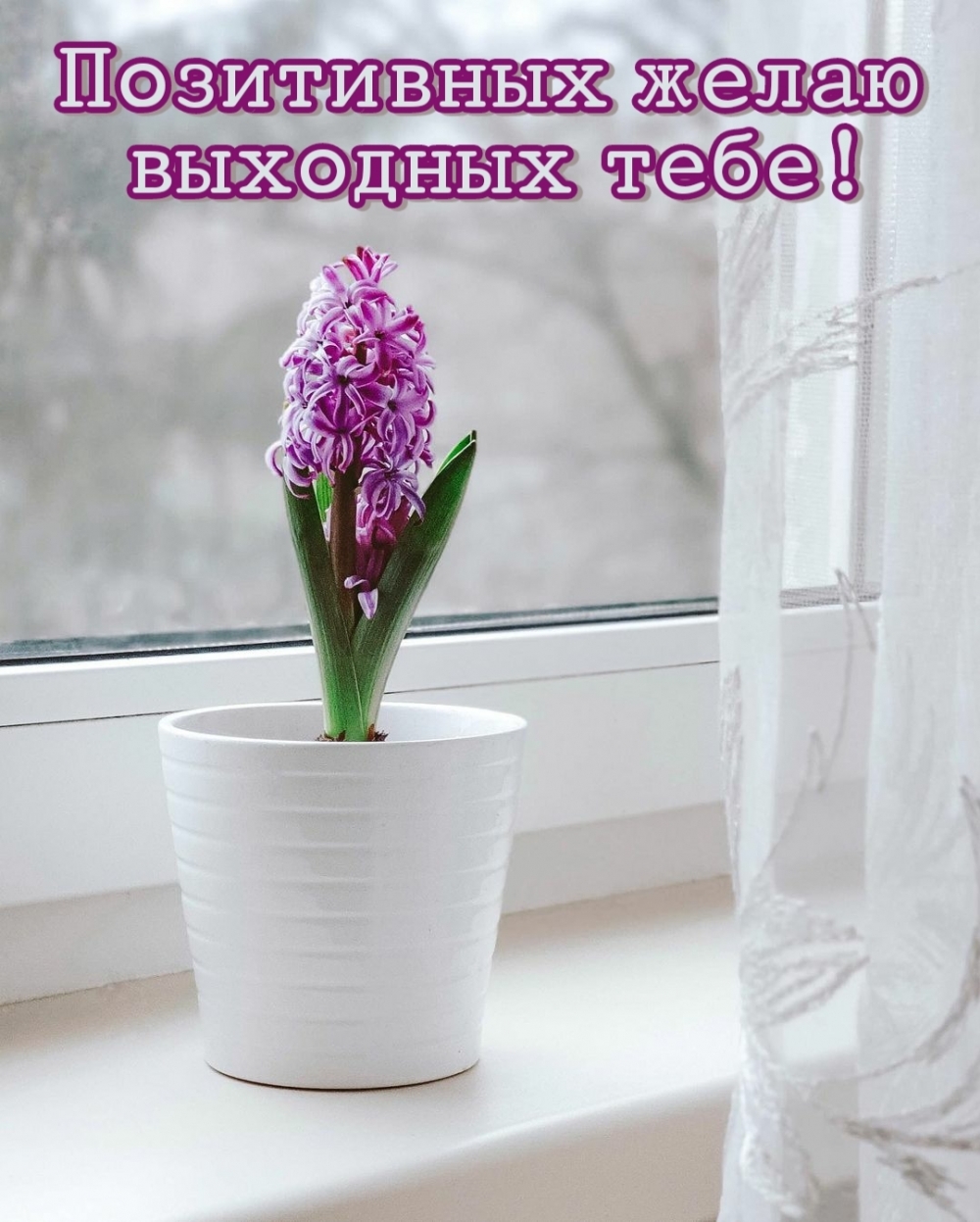 Позитивных желаю выходных тебе!