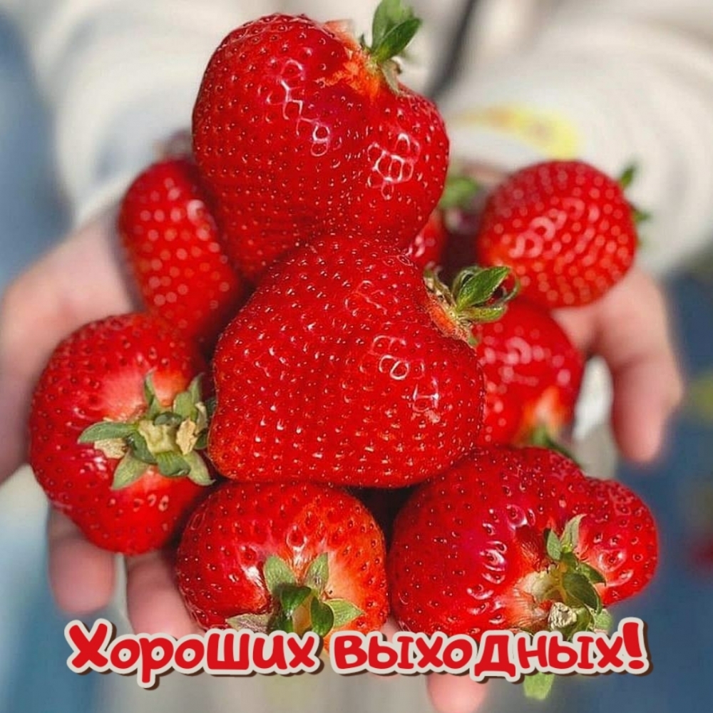 Хороших выходных!