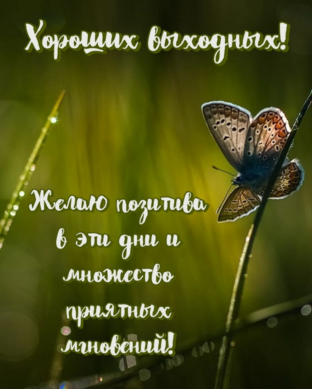 Хороших выходных!