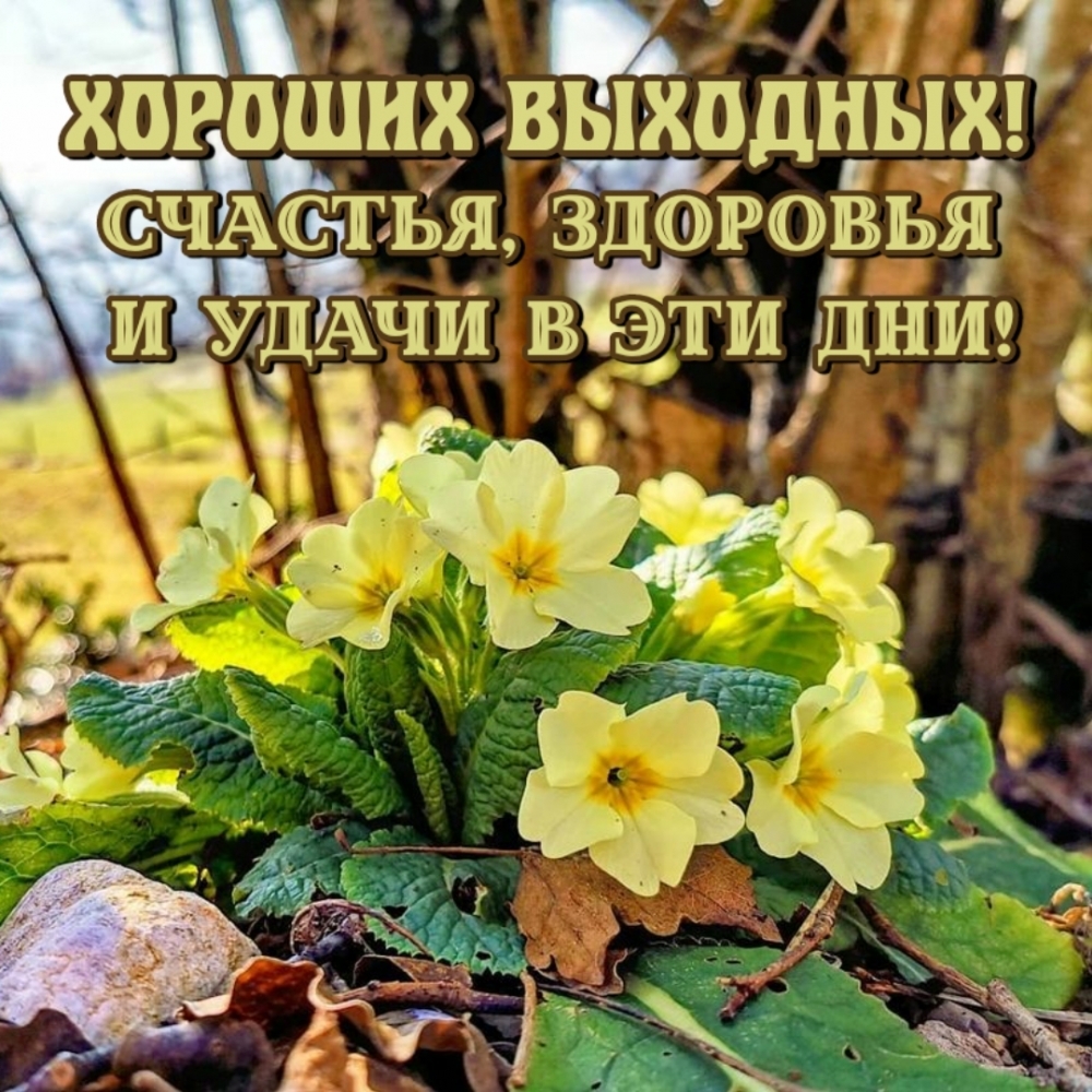 Счастья, здоровья и удачи в эти дни! Хороших выходных!