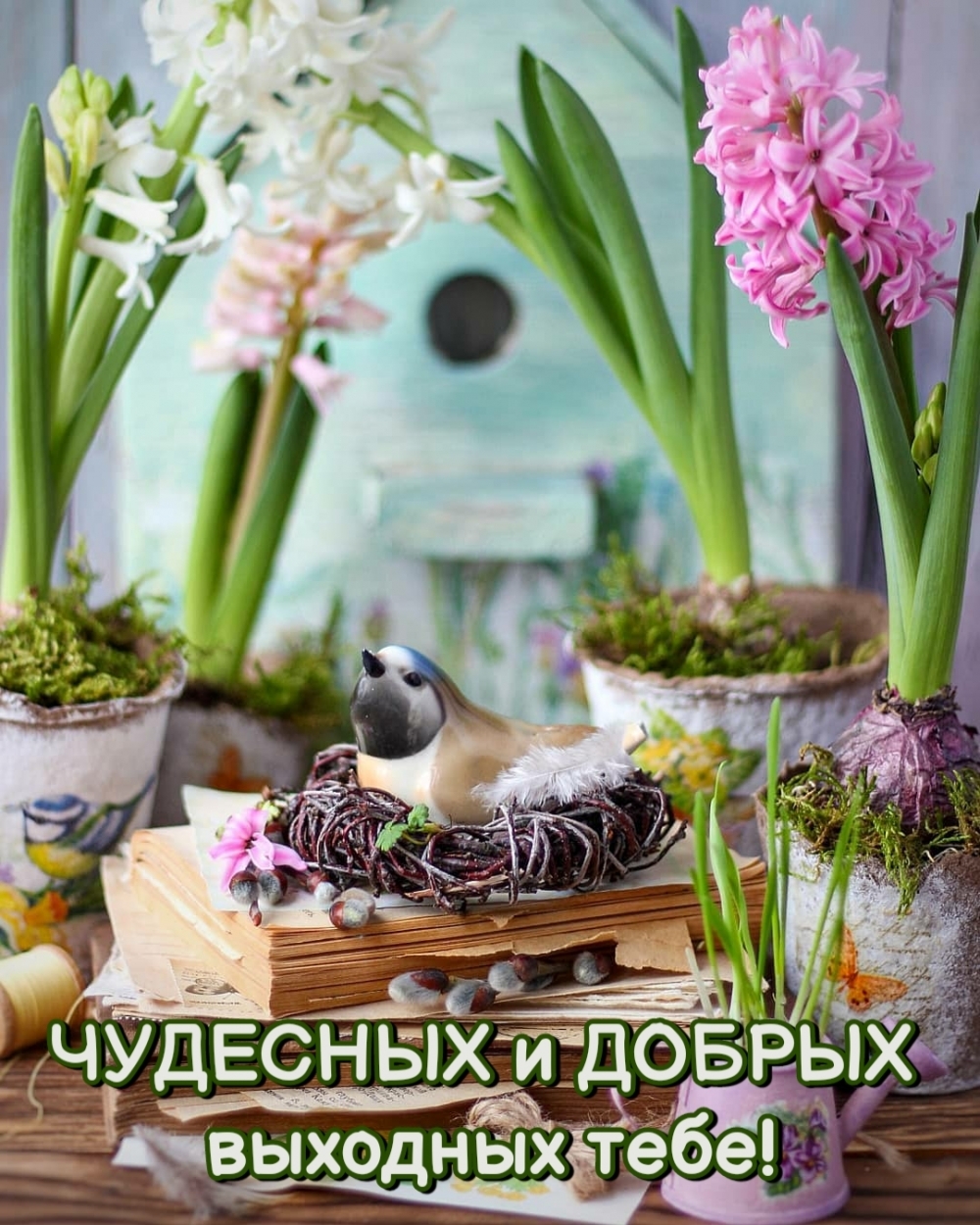 Чудесных и добрых выходных тебе!
