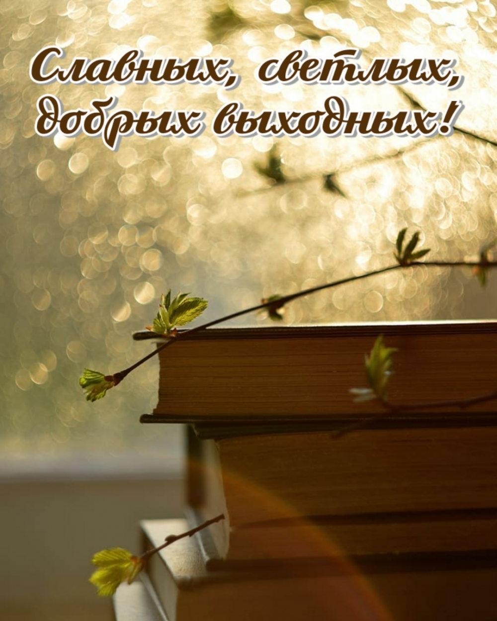 Славных, светлых, добрых выходных!