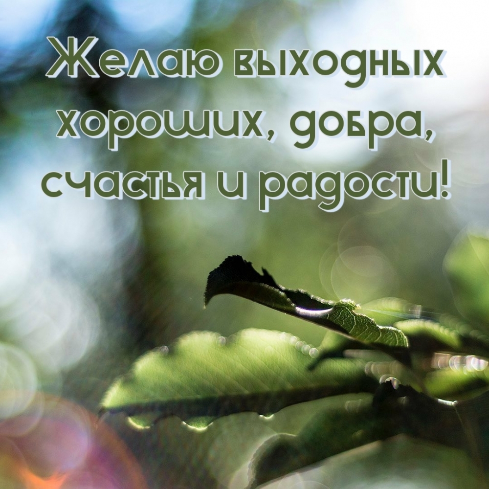 Желаю выходных хороших, добра, счастья и радости!