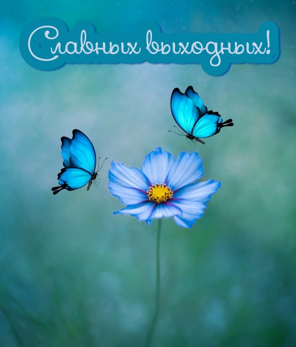 Славных выходных!