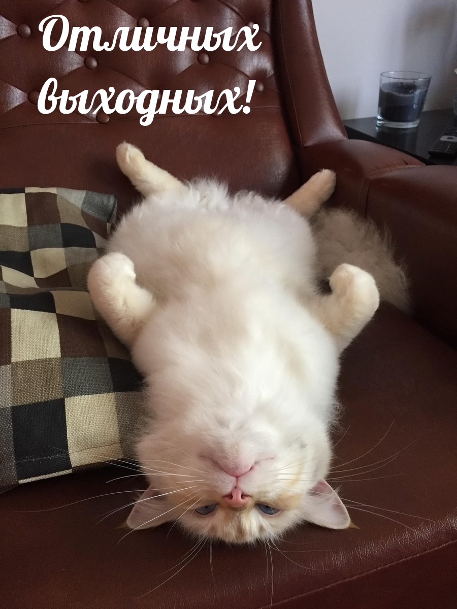 Отличных выходных!