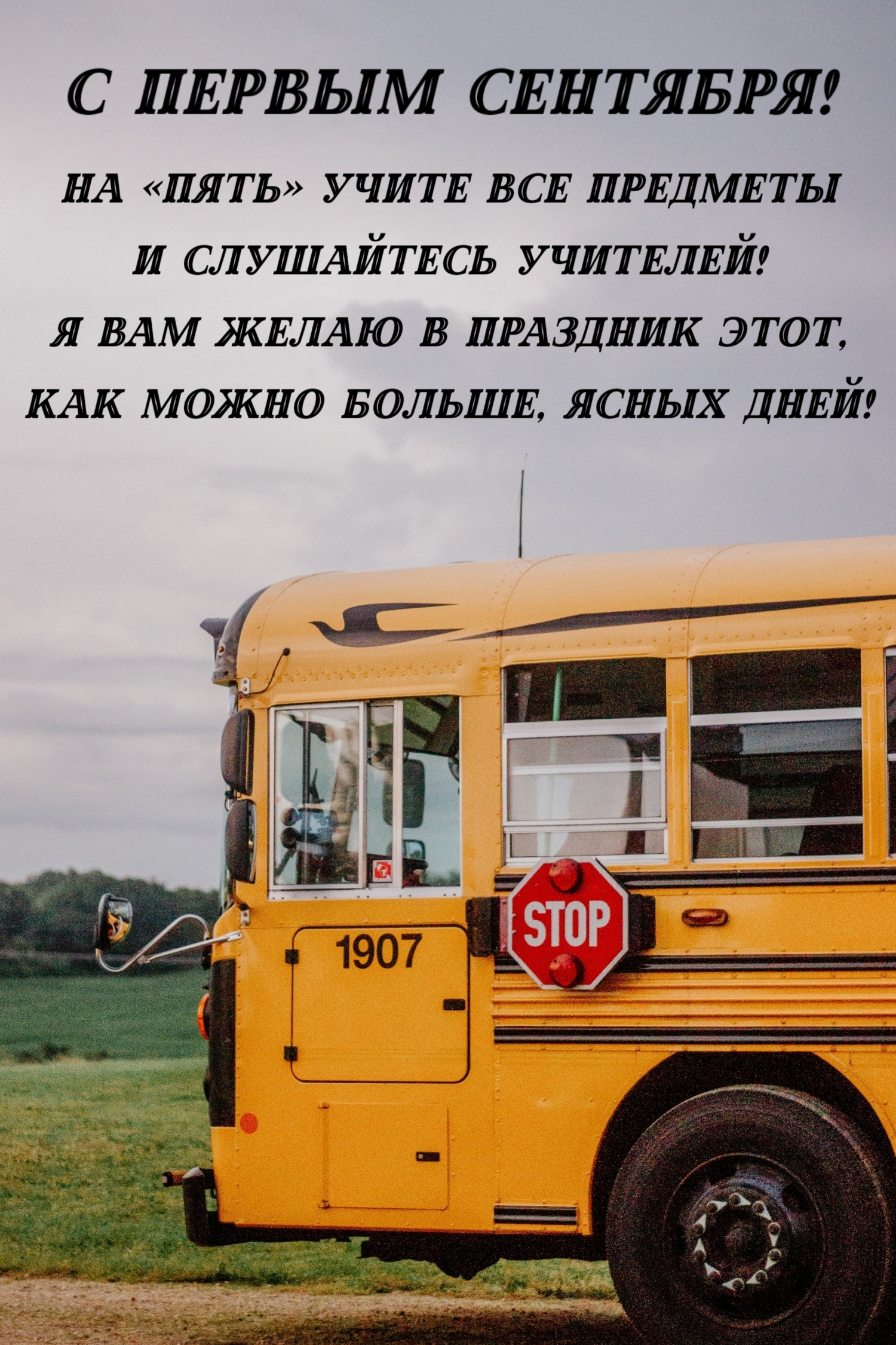С первым сентября! На «пять» учите все предметы
