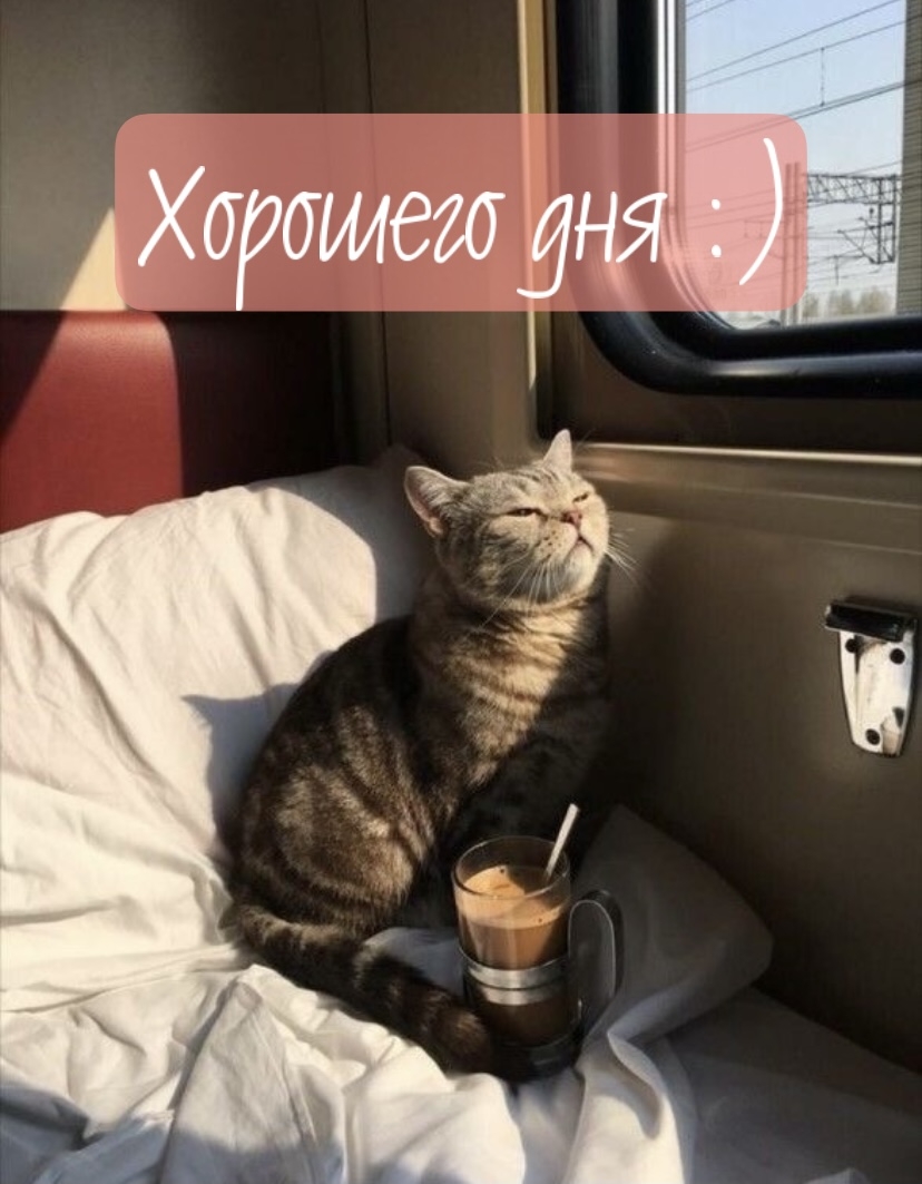 Хорошего дня!