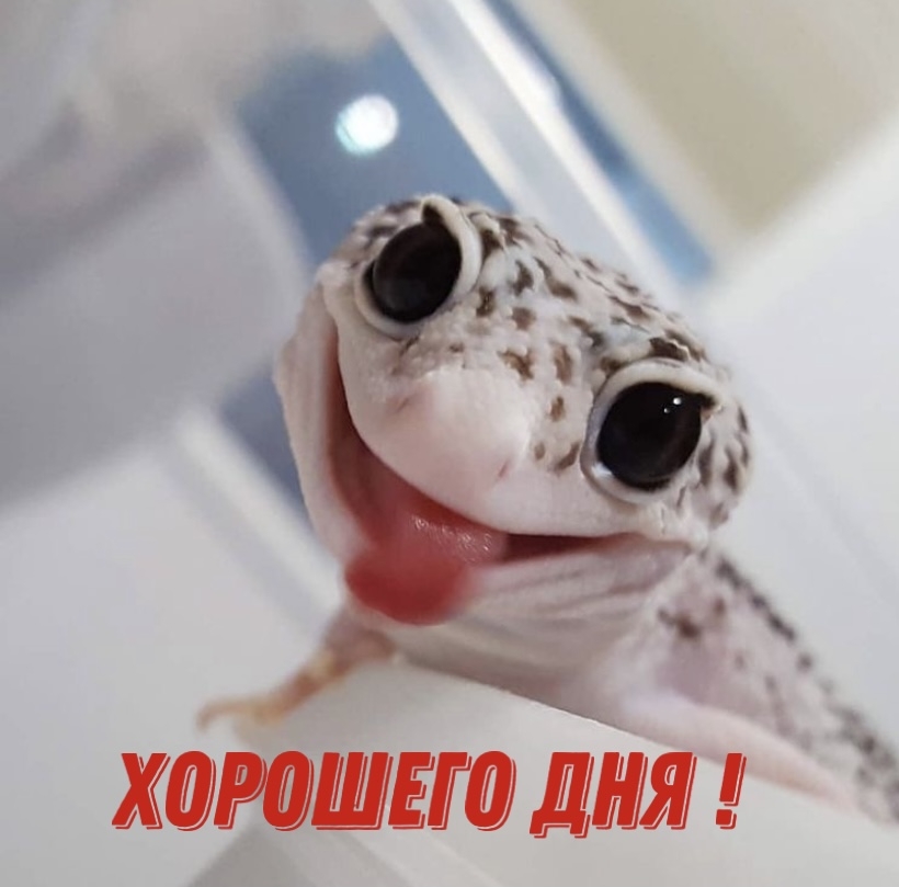 Хорошего дня!