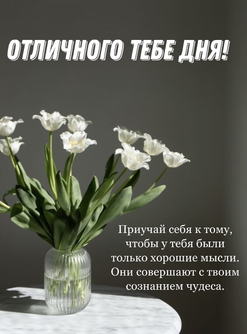 Отличного тебе дня!