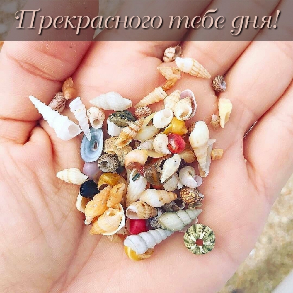 Прекрасного тебе дня!