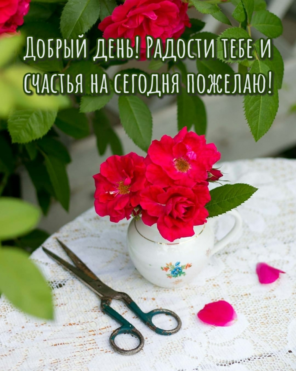 Добрый день! Радости тебе и счастья на сегодня пожелаю!