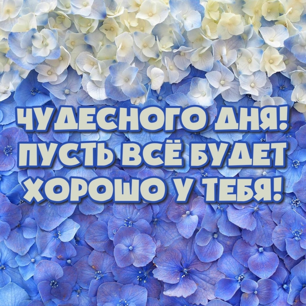 Чудесного дня! Пусть всё будет хорошо у тебя!