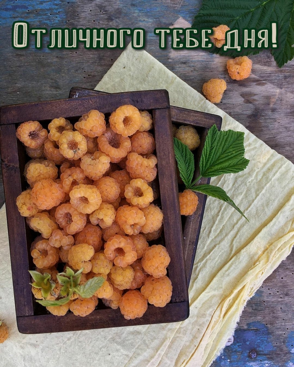 Отличного тебе дня!