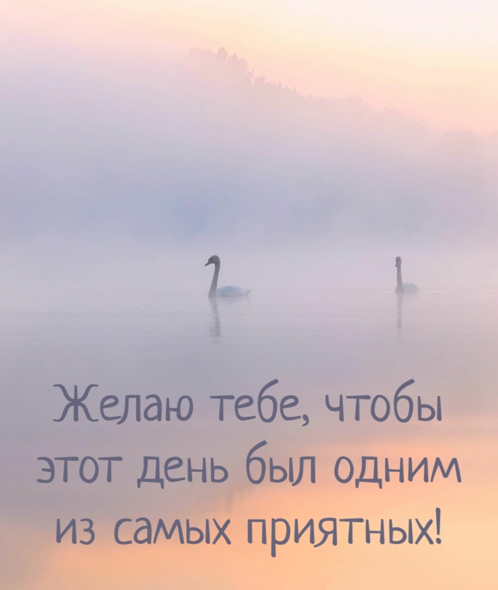 Желаю тебе, чтобы этот день был одним из самых приятных!