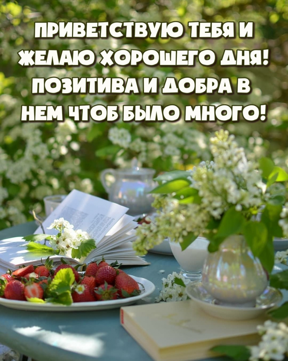 Приветствую тебя и желаю хорошего дня!