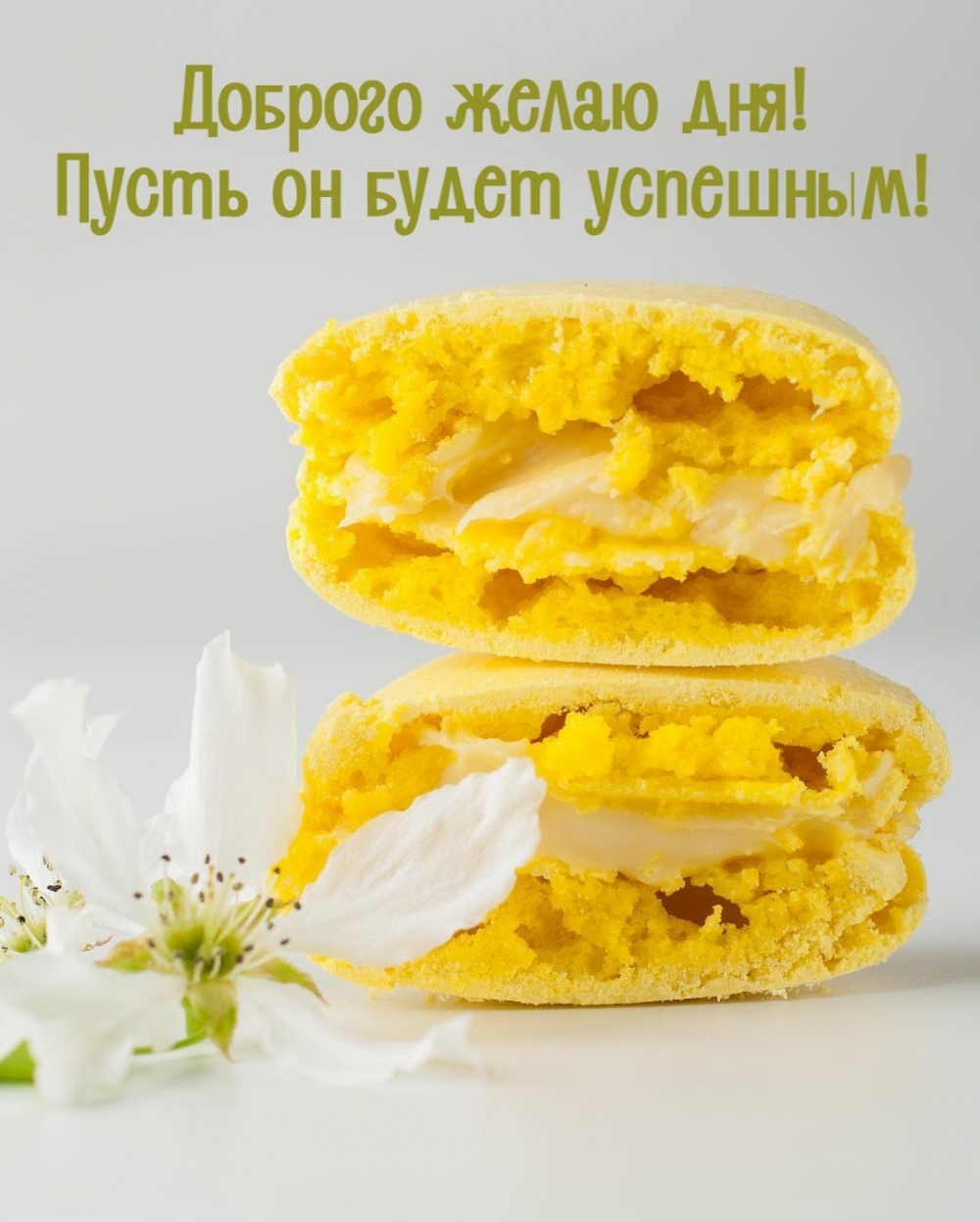 Доброго желаю дня! Пусть он будет успешным!