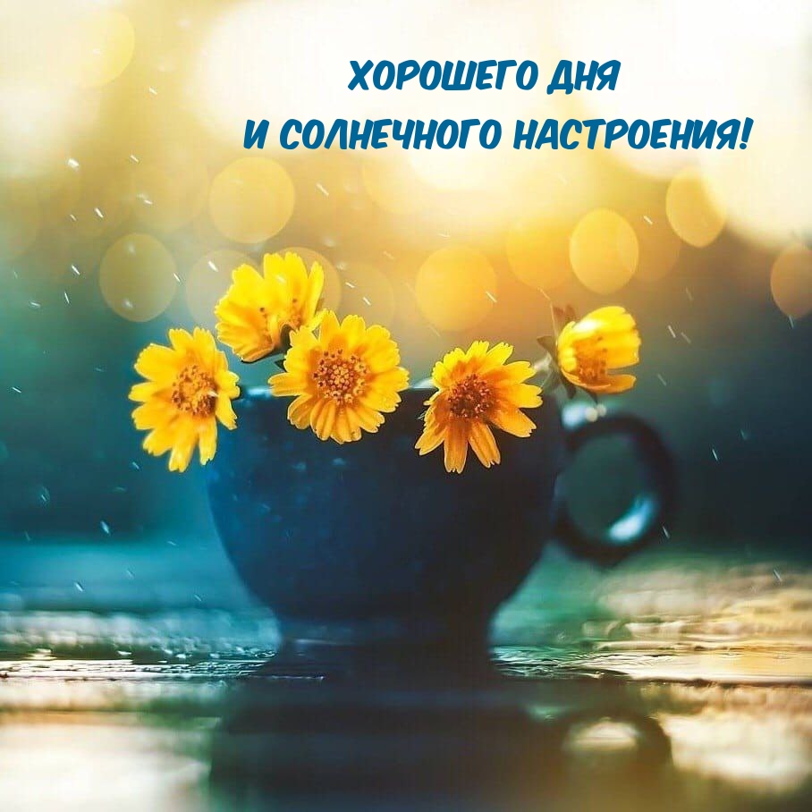 Хорошего дня и солнечного настроения!