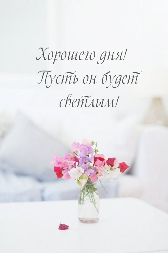 Хорошего дня! Пусть он будет светлым!