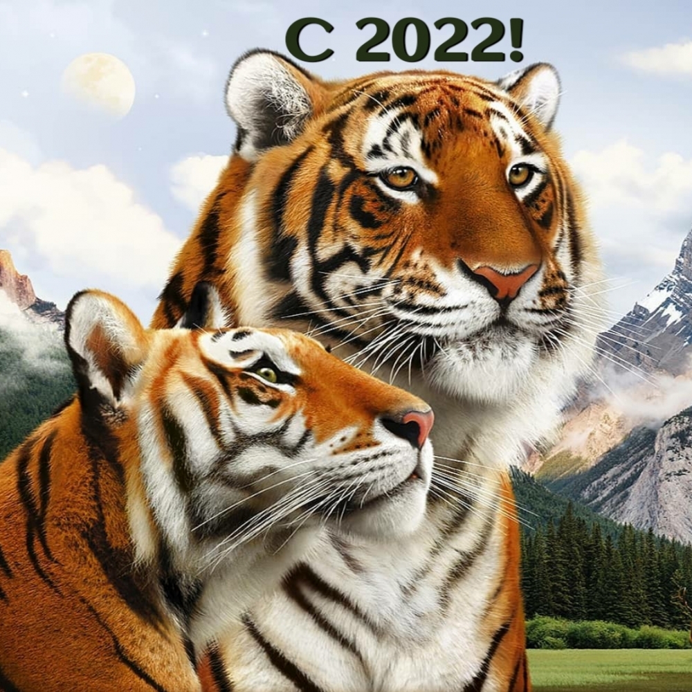 С 2022!