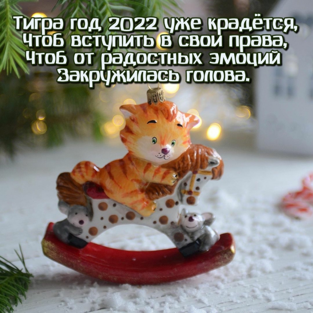 Тигра год 2022 уже крадётся