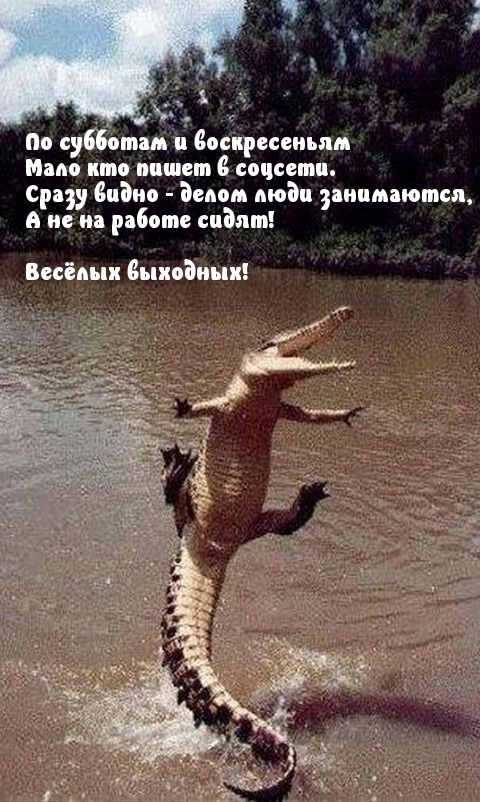 Весёлых выходных!