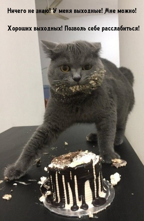 Хороших выходных! Позволь себе расслабиться!