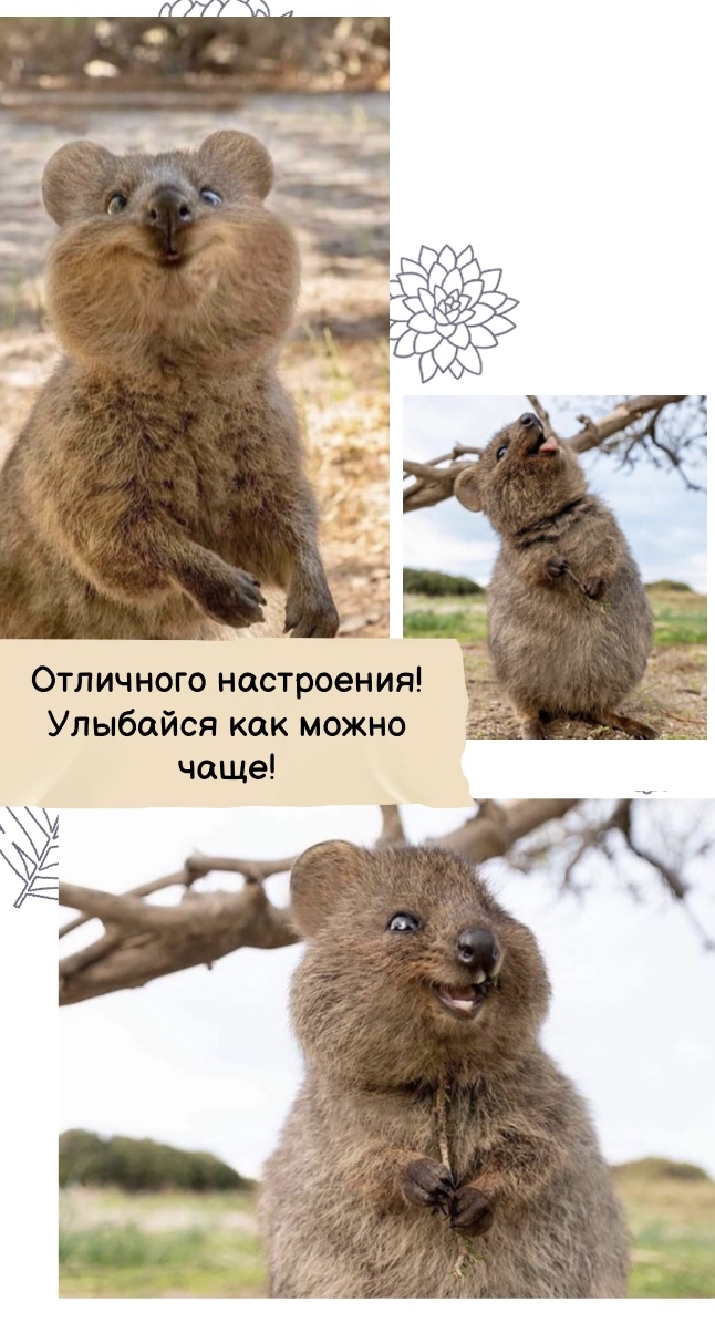 Отличного настроения! Улыбайся как можно чаще!
