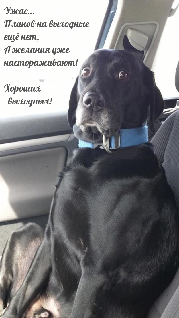 Планов на выходные ещё нет, а желания уже настораживают