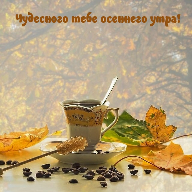 Чудесного тебе осеннего утра!