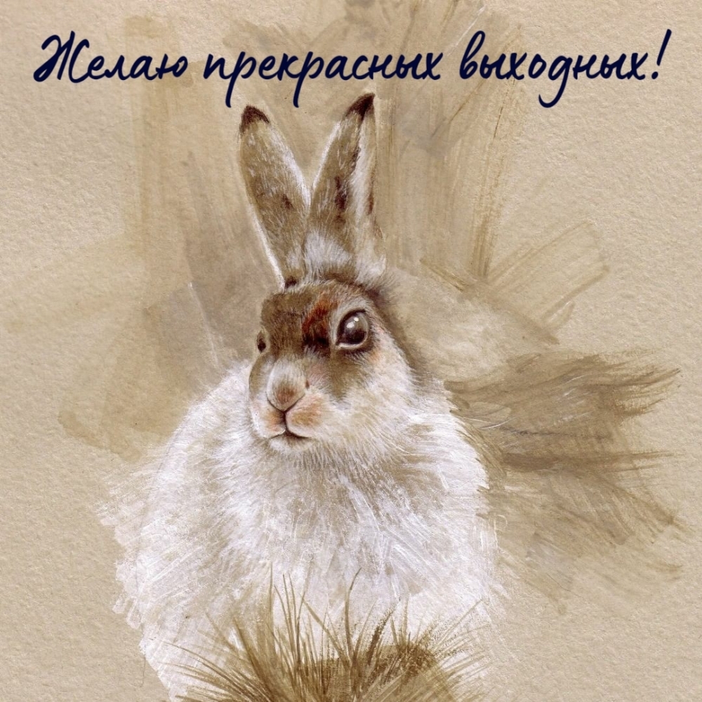 Желаю прекрасных выходных!