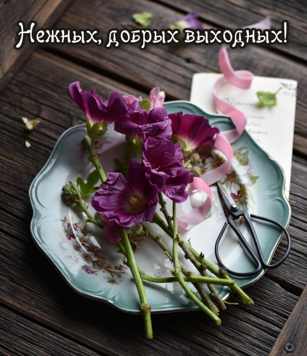 Нежных, добрых выходных!