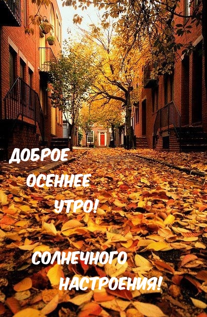 Доброе осеннее утро! Солнечного настроения!