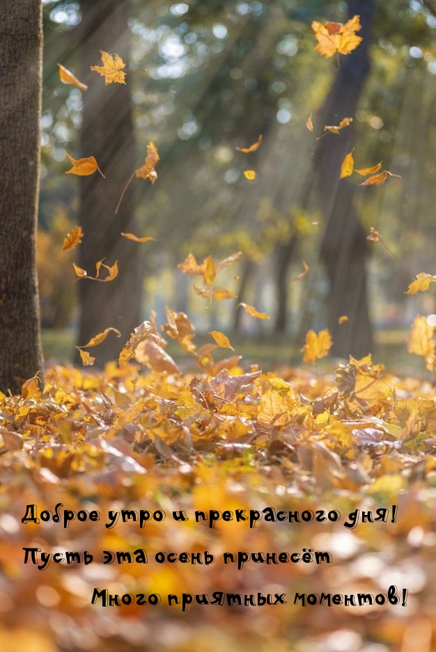 Доброе утро и прекрасного дня!