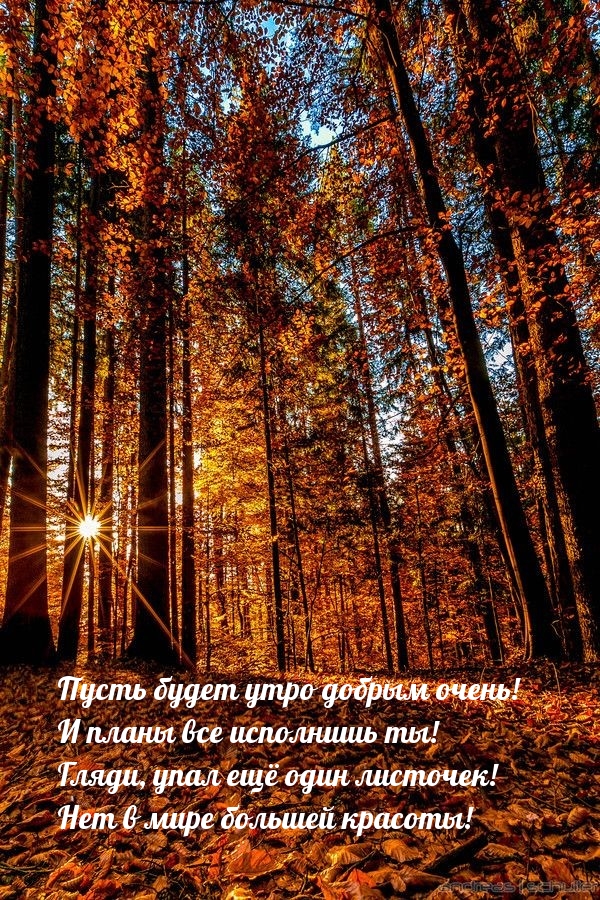 Пусть будет утро добрым очень!