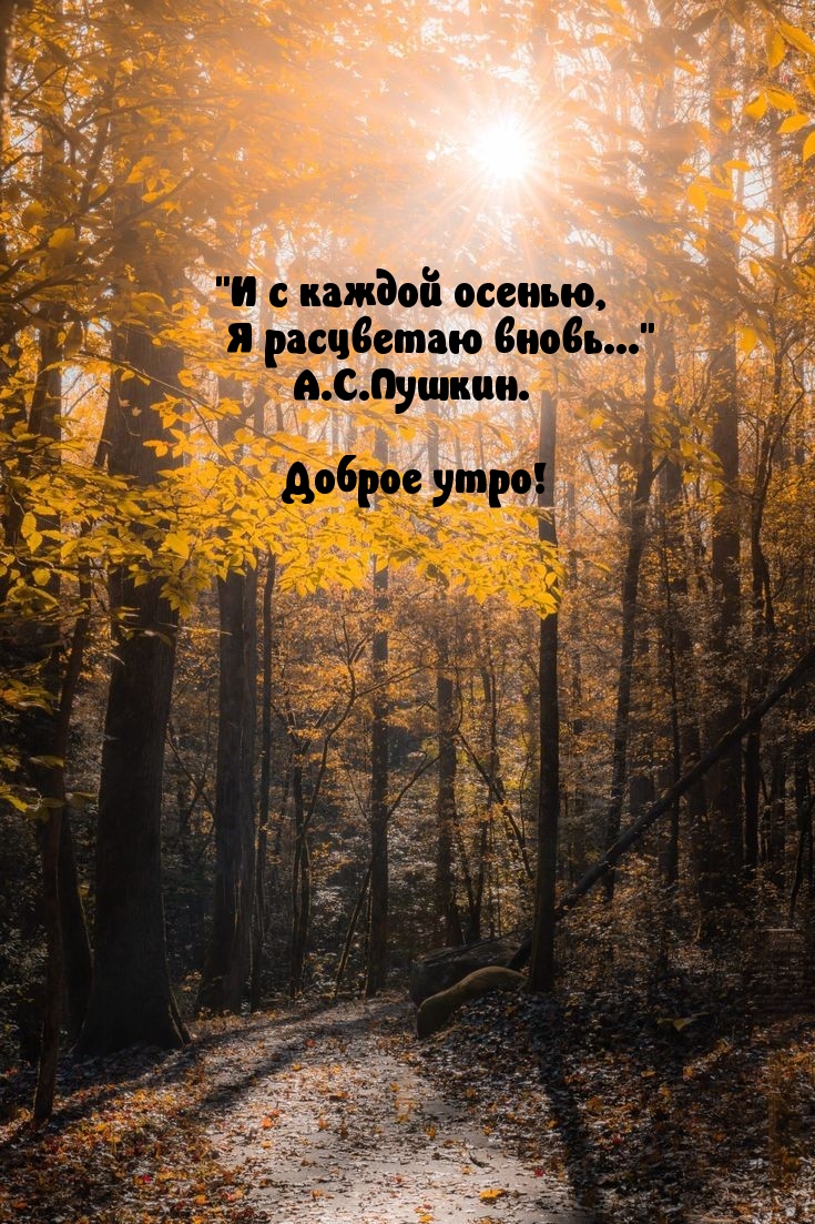 И с каждой осенью, я расцветаю вновь… Доброе утро!