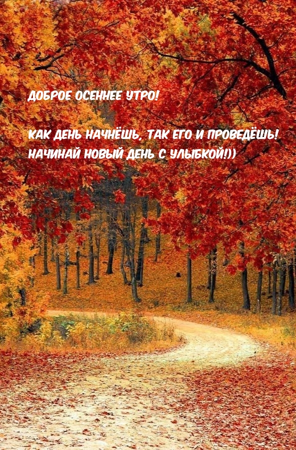 Доброе осеннее утро! Начинай новый день с улыбкой!