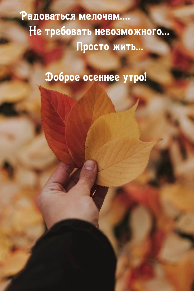 Доброе осеннее утро! Просто жить…