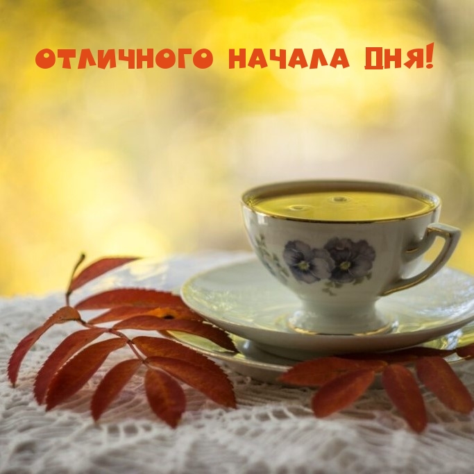 Отличного начала дня!