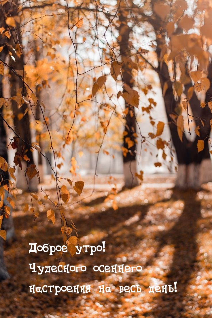 Доброе утро! Чудесного осеннего настроения на весь день!
