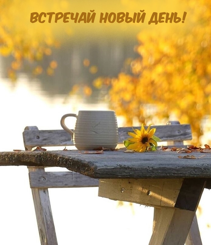 Встречай новый день!