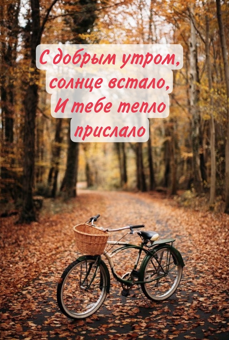 С добрым утром, солнце встало, и тебе тепло прислало