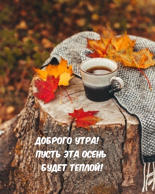 Доброго утра! Пусть эта осень будет теплой!