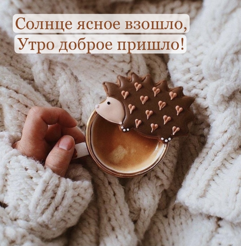 Солнце ясное взошло, утро доброе пришло!