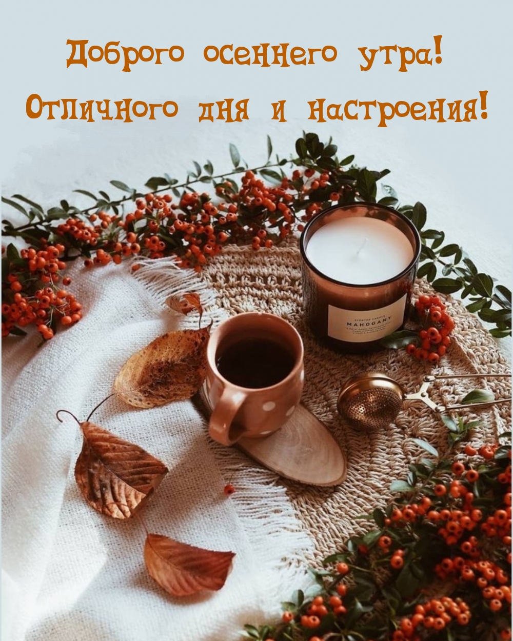 Доброго осеннего утра! Отличного дня и настроения!