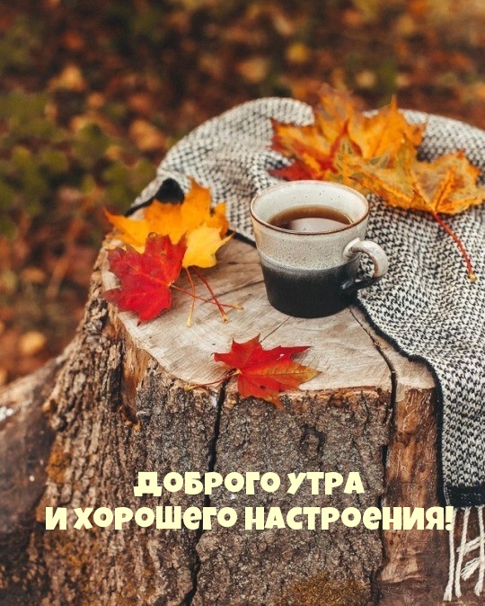 Картинки с надписями.  Доброго утра и хорошего настроения!.