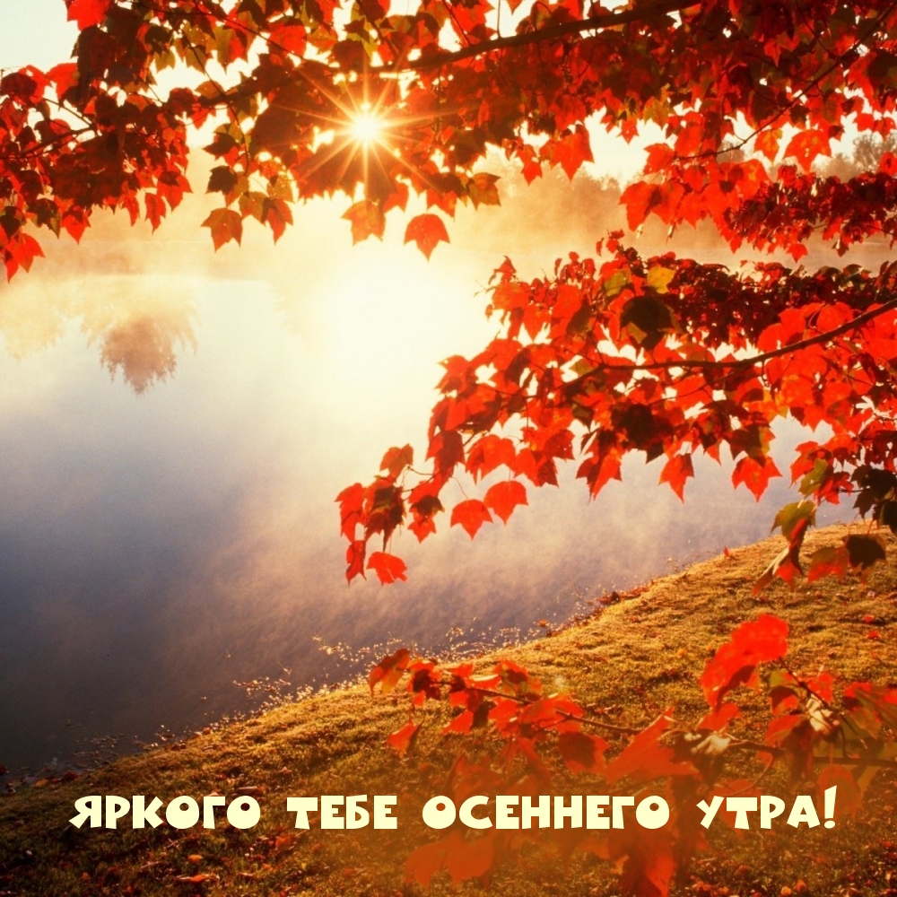 Яркого тебе осеннего утра!