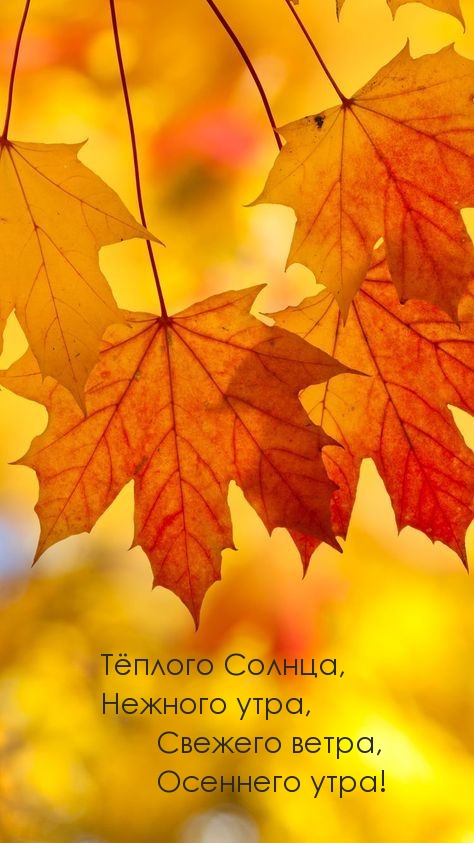 Свежего ветра, осеннего утра!