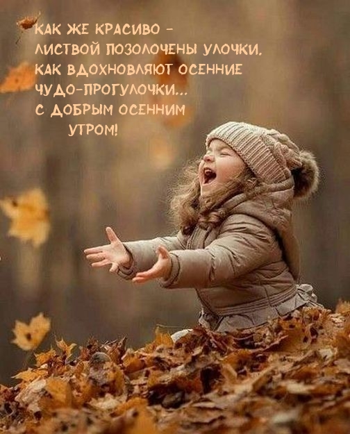 С добрым осенним утром!